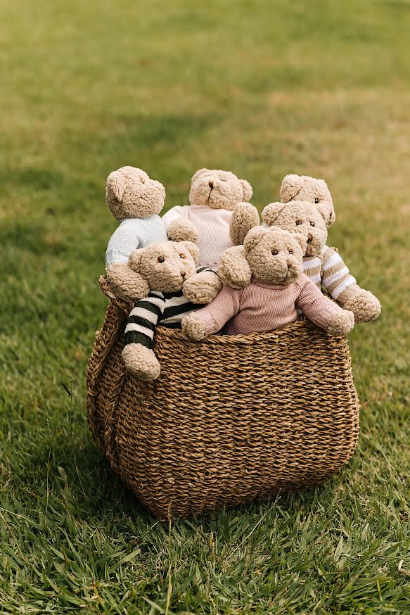 Urso de Pelúcia Personalizável Teddy Land