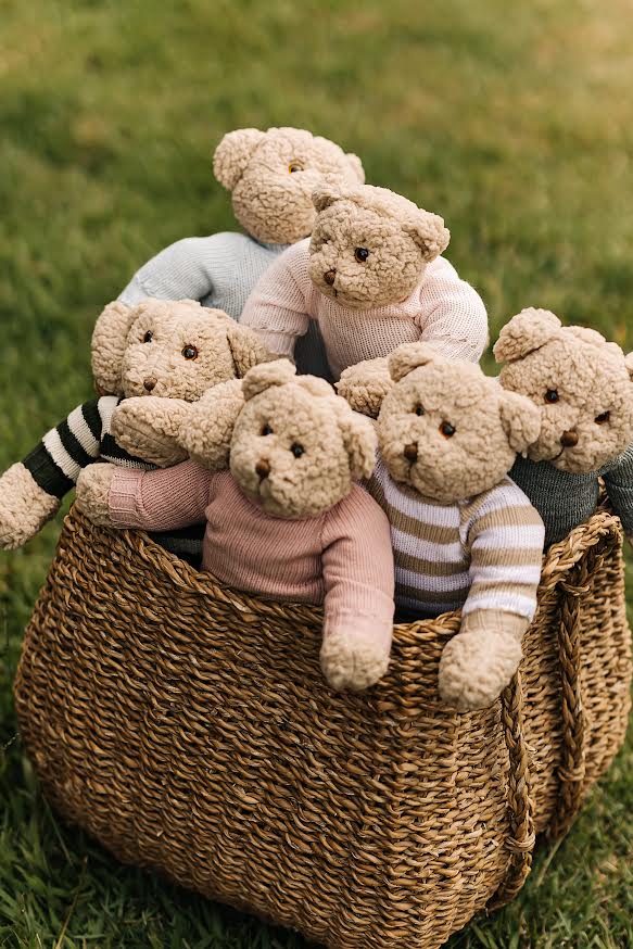 Urso de Pelúcia Personalizável Teddy Land