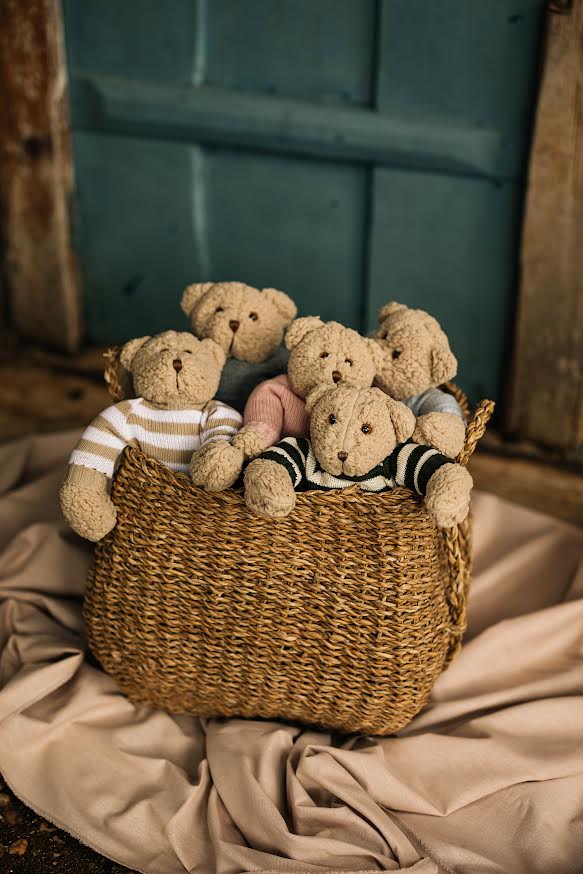Urso de Pelúcia Personalizável Teddy Land