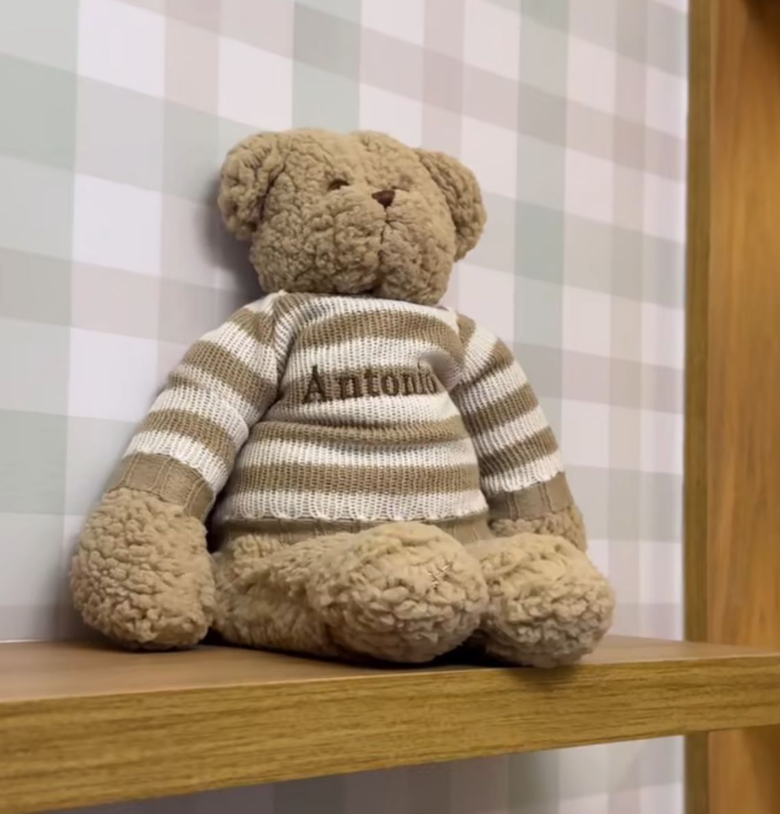 Urso de Pelúcia Personalizável Teddy Land