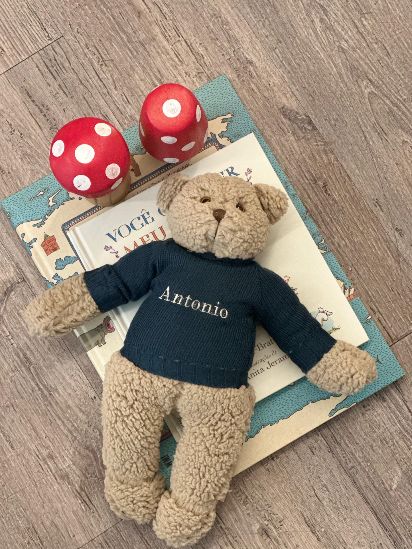 Urso de Pelúcia Personalizável Teddy Land