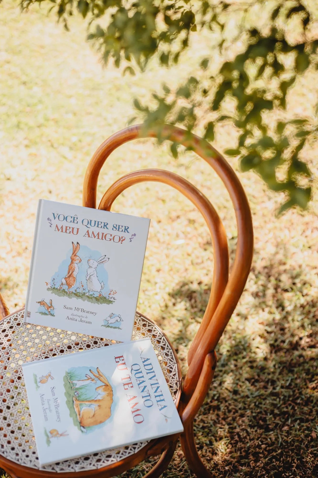 Livro: Você quer ser meu amigo?