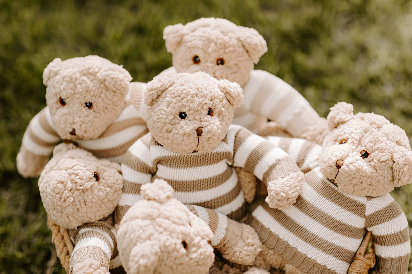 Urso de Pelúcia Personalizável Teddy Land