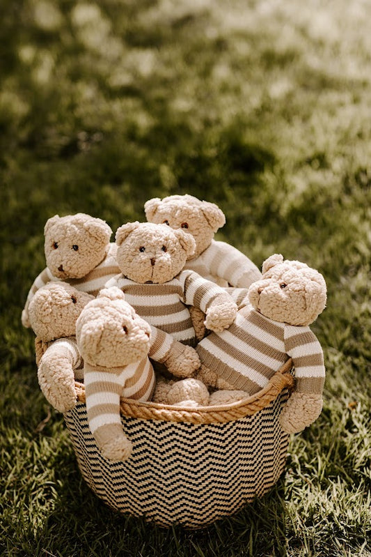 Urso de Pelúcia Personalizável Teddy Land