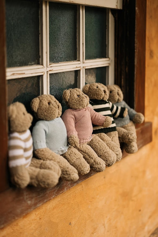 Urso de Pelúcia Personalizável Teddy Land